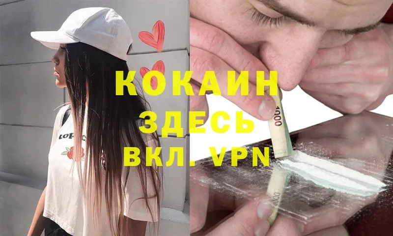 цены наркотик  Кисловодск  Cocaine Эквадор 